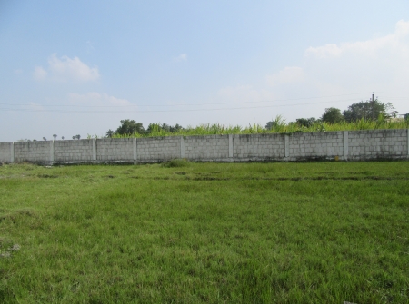 1) Open Plots for Sale in Thanapalli Village, Tirupati Surroundings.JPG